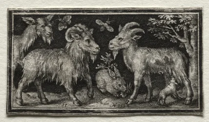 Ziegen und Hase, 1594