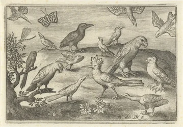 Hopfen und andere Vögel