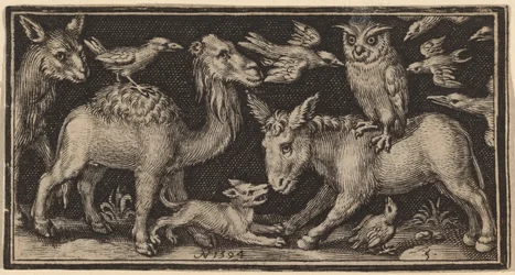 Eule auf dem Rücken eines Esels, Vogel auf dem Rücken eines Kamels mit anderen Tieren