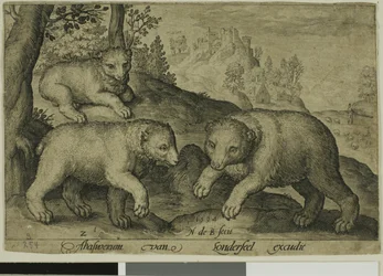 Drei Bären, Platte zehn aus Vierbeinige Tiere