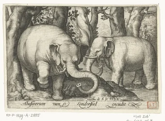 Zwei Elefanten (Vierfüßige Tiere, Tiere in Landschaften)