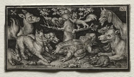 Zweiköpfiger Frosch umgeben von Tieren, 1594