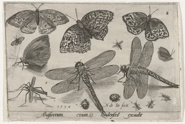 Schmetterlinge und Libellen