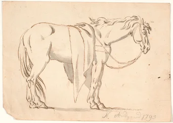Ein Pferd mit Decke