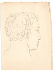 Ein Kopf eines Mannes schräg von hinten gesehen