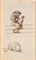 Studie von Lucius mit Eselkopf. Unten Studie zur Katze in Simo vertraut sich Sosia an