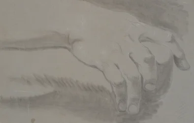 Studie einer Hand