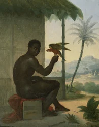 Brasilianischer Schwarzer mit tropischem Vogel