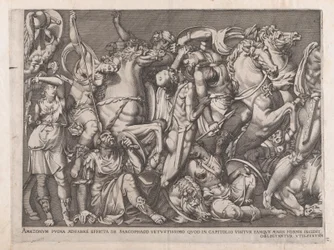 Speculum Romanae Magnificentiae: Schlacht der Amazonen, 1559