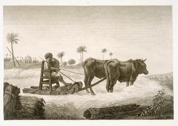 Getreideernte, aus Band II Künste und Gewerbe von 