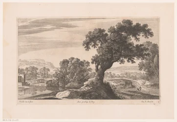 Landschaft mit Baum am See