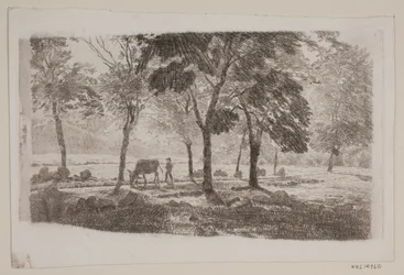 Allee