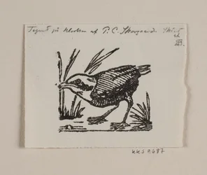 Ein Vogeljunges
