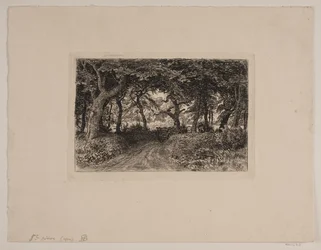 Wagen auf Waldweg