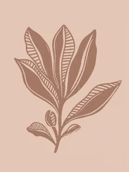 Natürliche botanische Zeichnung