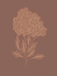Rustikale botanische Blüte