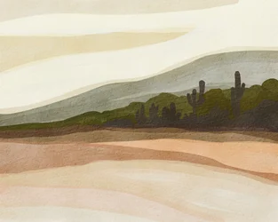 Saguaro-Wüstenhügel