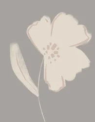 Weiche Blush-Blüte