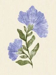 Sanfte Periwinkle-Botanicals