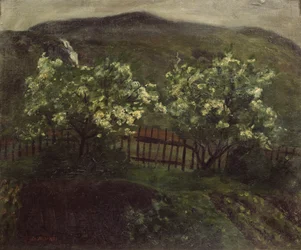 Frühlingsregen und Kirschblüte