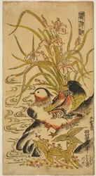 Mandarinenten, aus der Serie "Kashinsai"