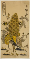 Stockrosen und Pfauen (Aoi ni kujaku)