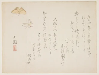 (Schmetterlinge)