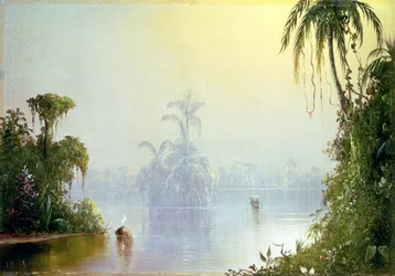 Tropischer Dunst, 1879