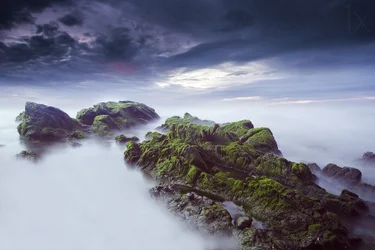 Ätherische moosige Meereslandschaft