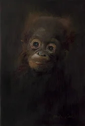 Baby-Orang-Utan 1, 2009