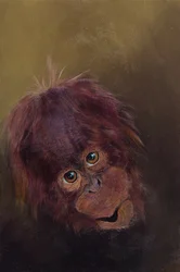 Baby-Orang-Utan 2, 2010