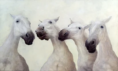 Equus vier