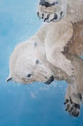 Polarbär-Ballett (Detail), 2012