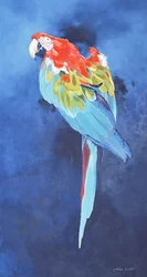 Roter und blauer Ara, 2002