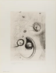 Und dass kopflose Augen wie Weichtiere schwammen, Platte XIII von Tentation de St. Antoine
