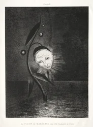 Hommage an Goya: Die Sumpfblume, ein trauriger Menschenkopf, 1885.