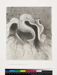 Die Tiere des Meeres rund wie Schläuche, 1896