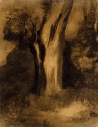 Baum