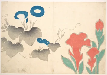 Entwurf mit Prunkwinde und anderen Blumen