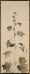 Weiße Stockrosen, Edo-Zeit, spätes 17. bis frühes 18. Jahrhundert