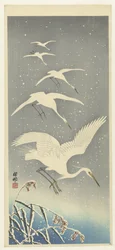 Absteigende Reiher im Schnee