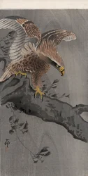 Adler mit ausgebreiteten Flügeln auf Baumstamm