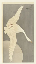 Gans bei Vollmond