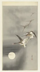 Gänse im Flug
