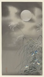 Gräser und Blumen bei Vollmond