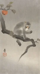 Affe in einem Obstbaum
