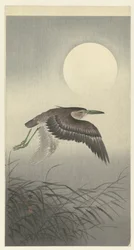 Reiher bei Vollmond