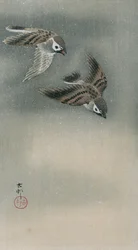 Spatzen im Flug (Farbholzschnitt)