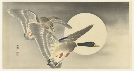 Zwei Enten mit Vollmond