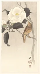 Singvogel und blühende Kamelie